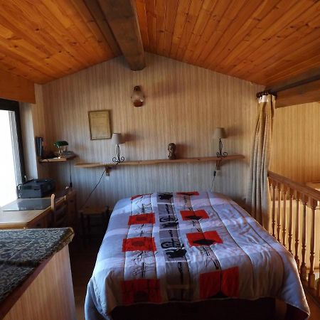T3 Tres Agreable, 2 Terrasses, Bien Place Amelie-les-Bains-Palalda Exterior photo